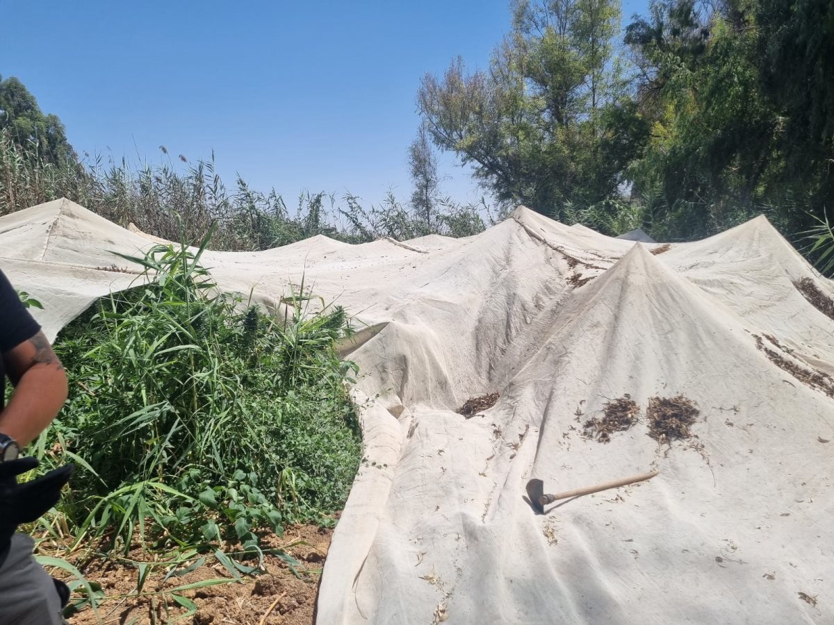 דוברות משטרה