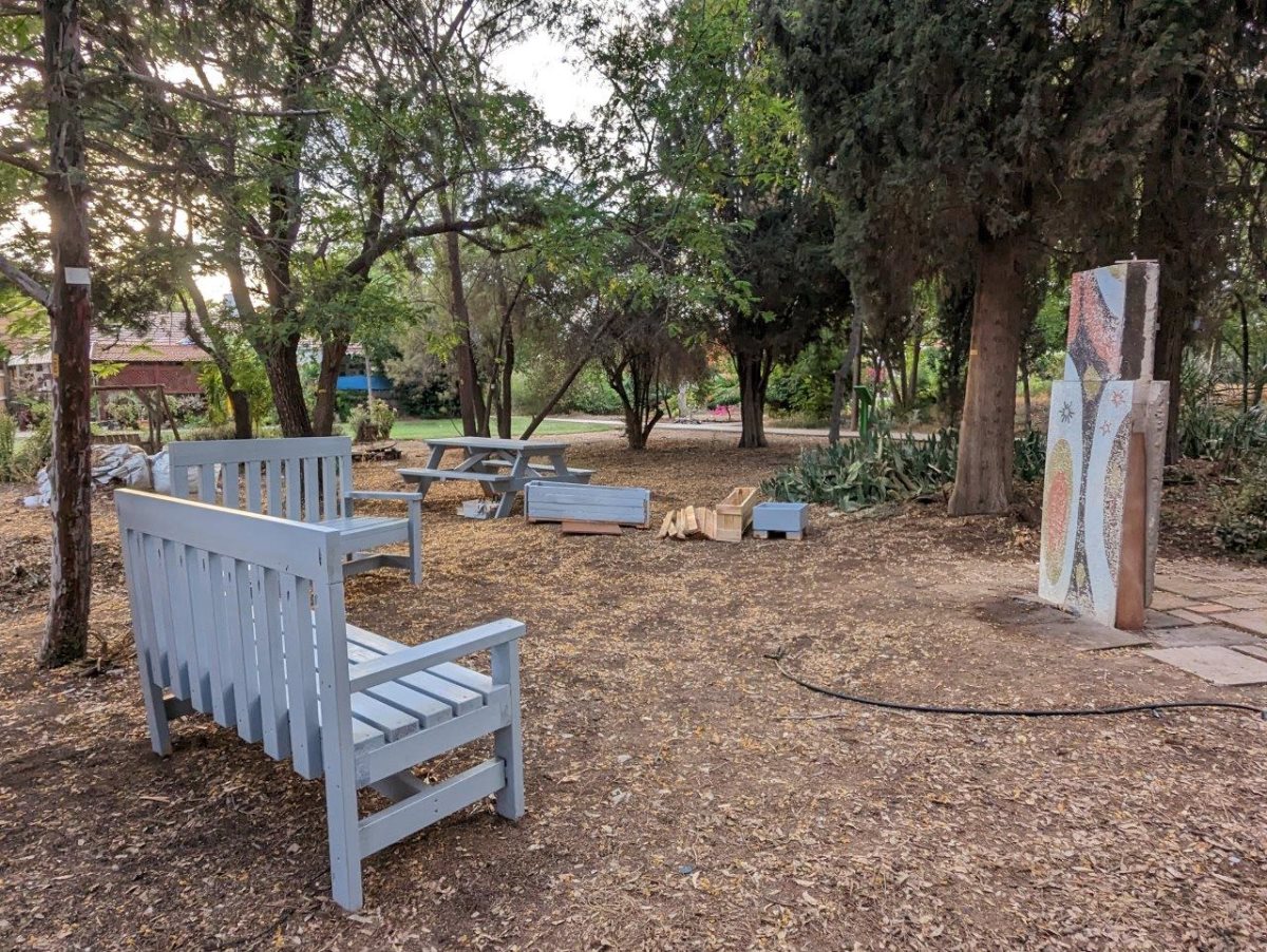 תמונות באדיבות המועצה.