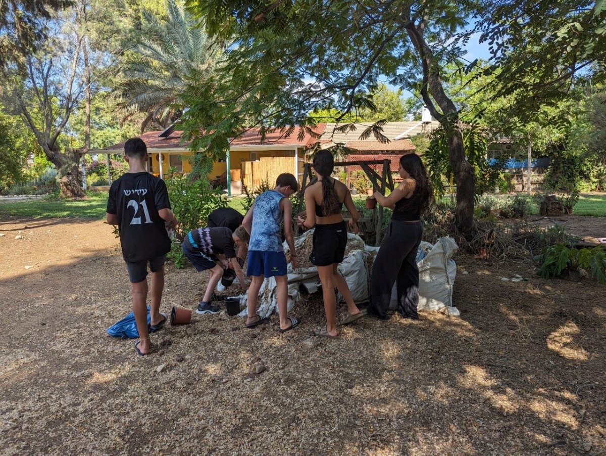 תמונות באדיבות המועצה.