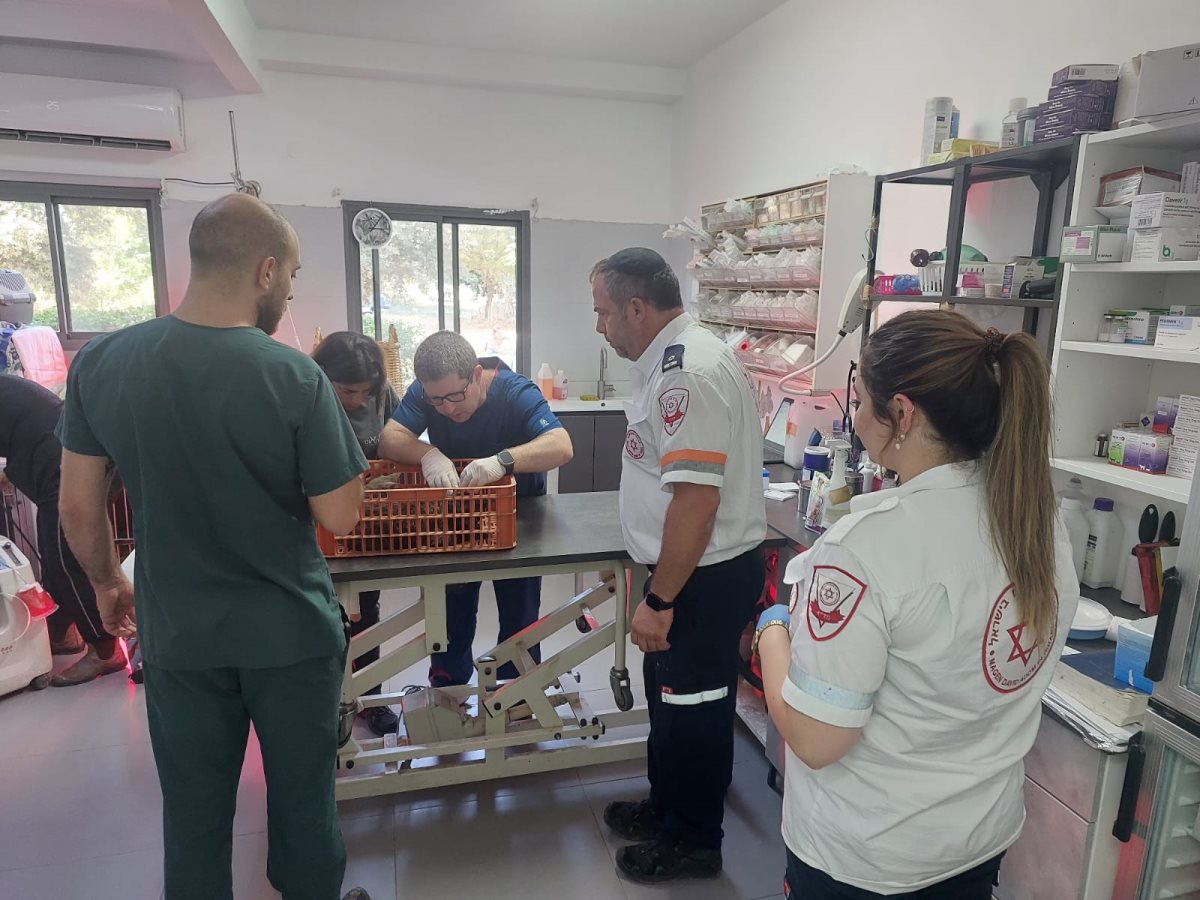 דוברות מד"א