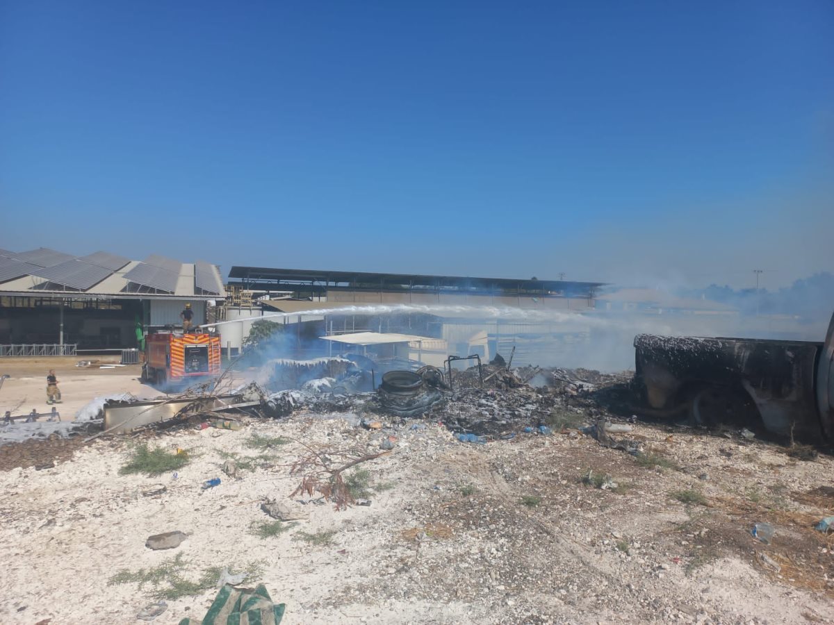 דוברות כבאות והצלה 