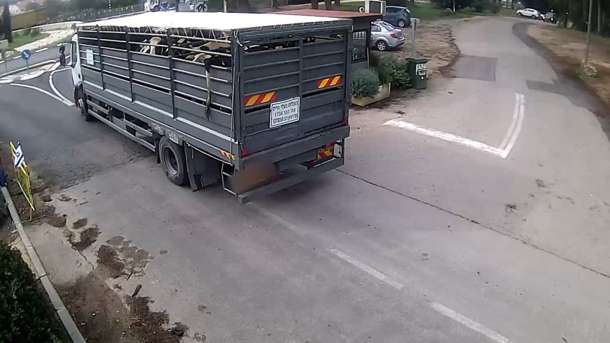 קרדיט - מג"ב