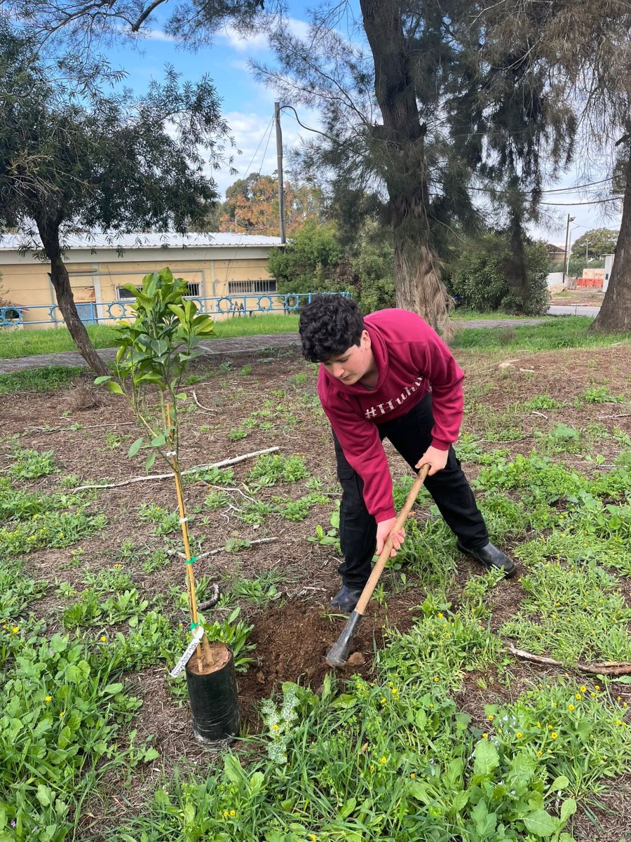חורשת החטופים אורט צור ברק