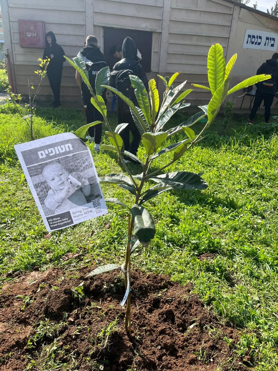 חורשת החטופים