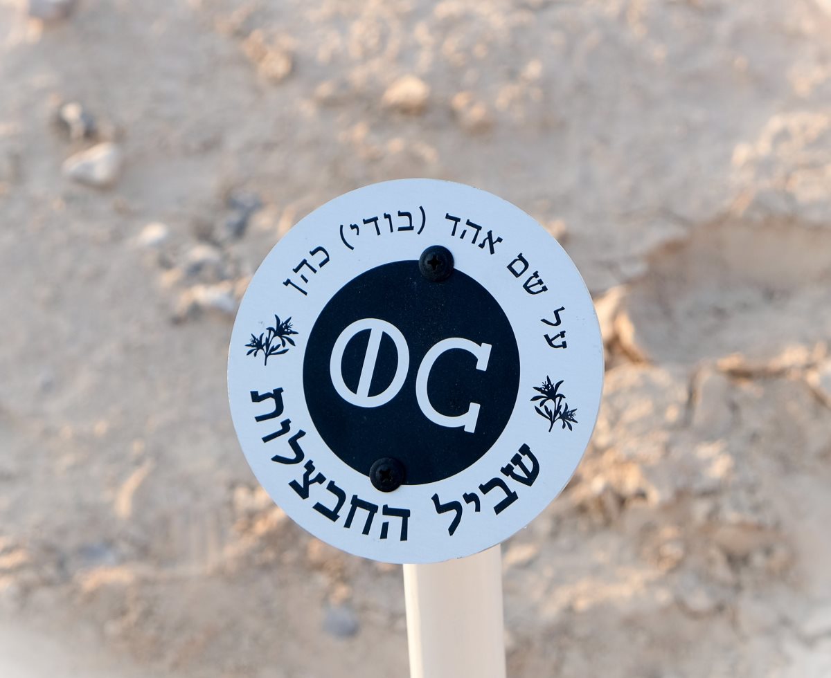 צילום תמי ליבנה 