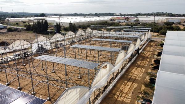 קרדיט תמונה יח"צ