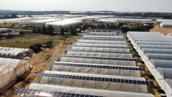 קרדיט תמונה יח"צ