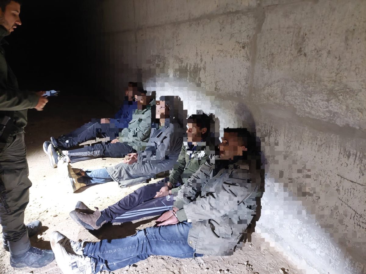 דוברות משטרה 