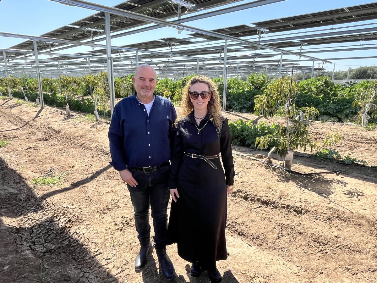 תמונות באדיבות המועצה.