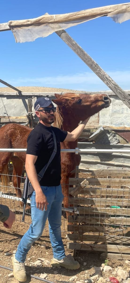 דוברות משטרה 