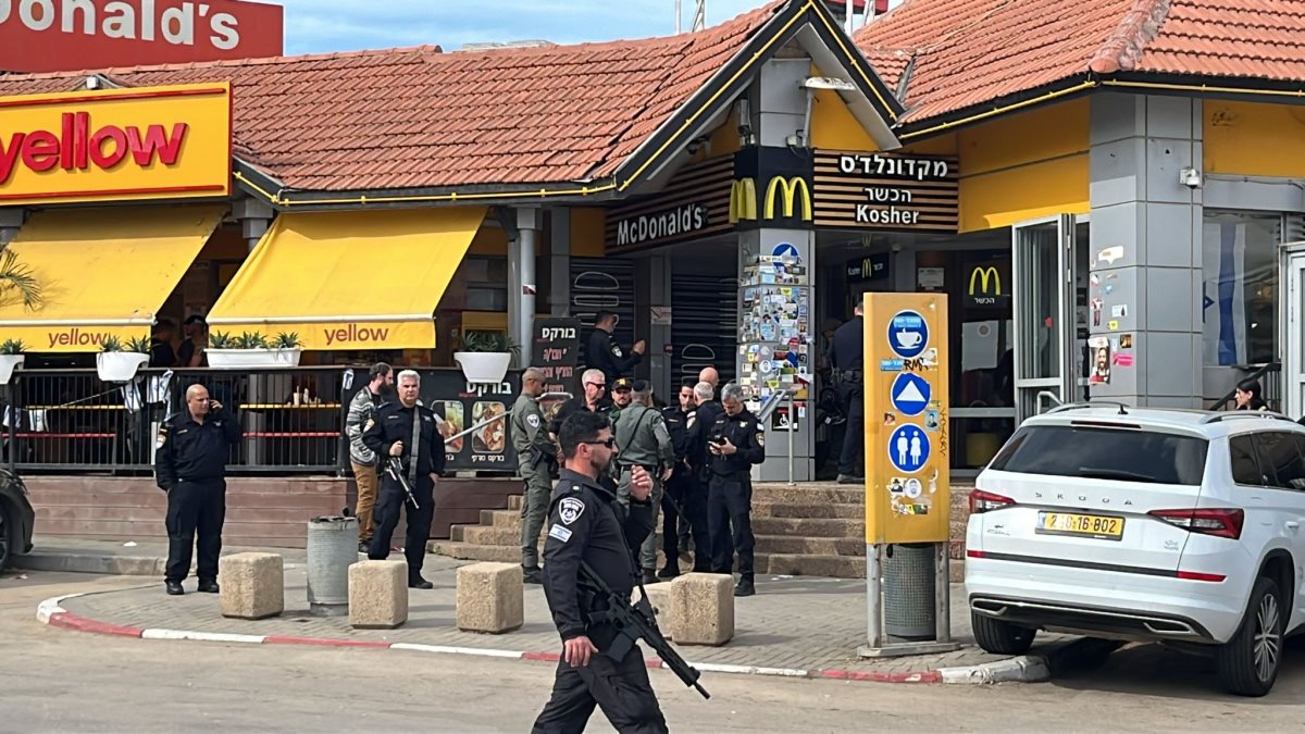 קרדיט - פלד ארבלי