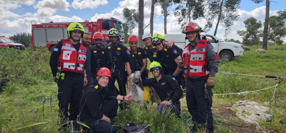 דוברות כבה מחוז דרום