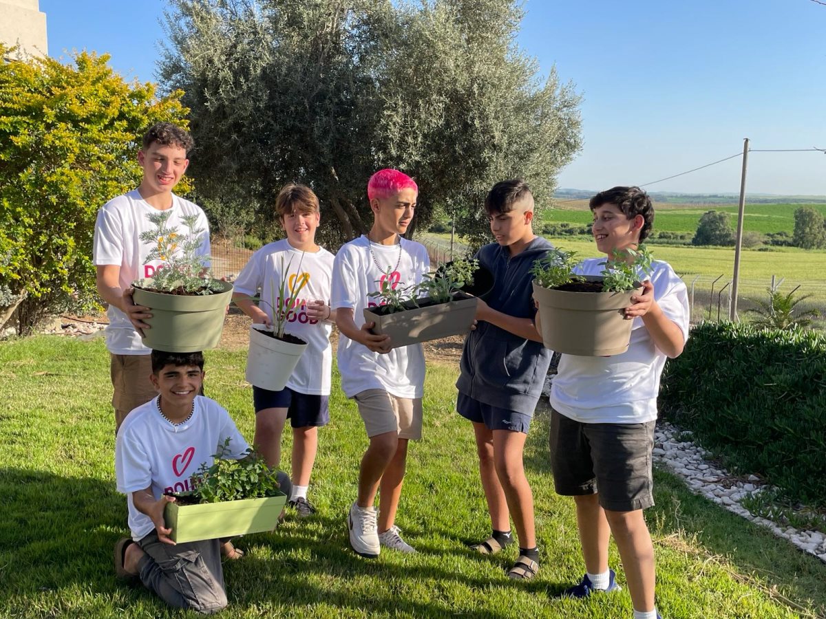 תמונות באדיבות המועצה.