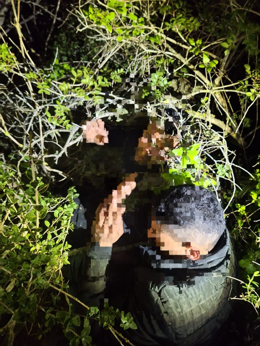 דוברות משטרה 