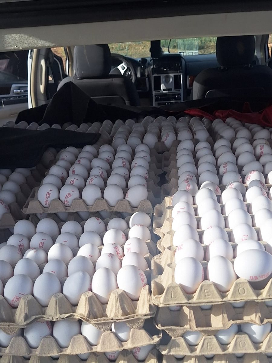 דוברות משטרה