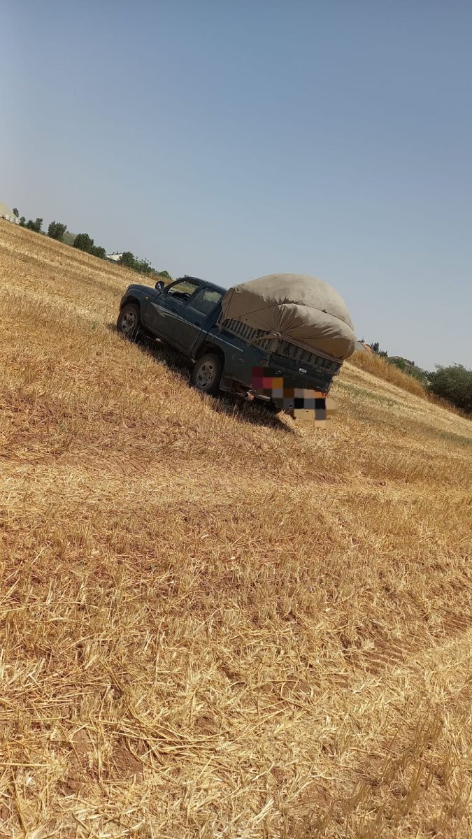 דוברות משטרה