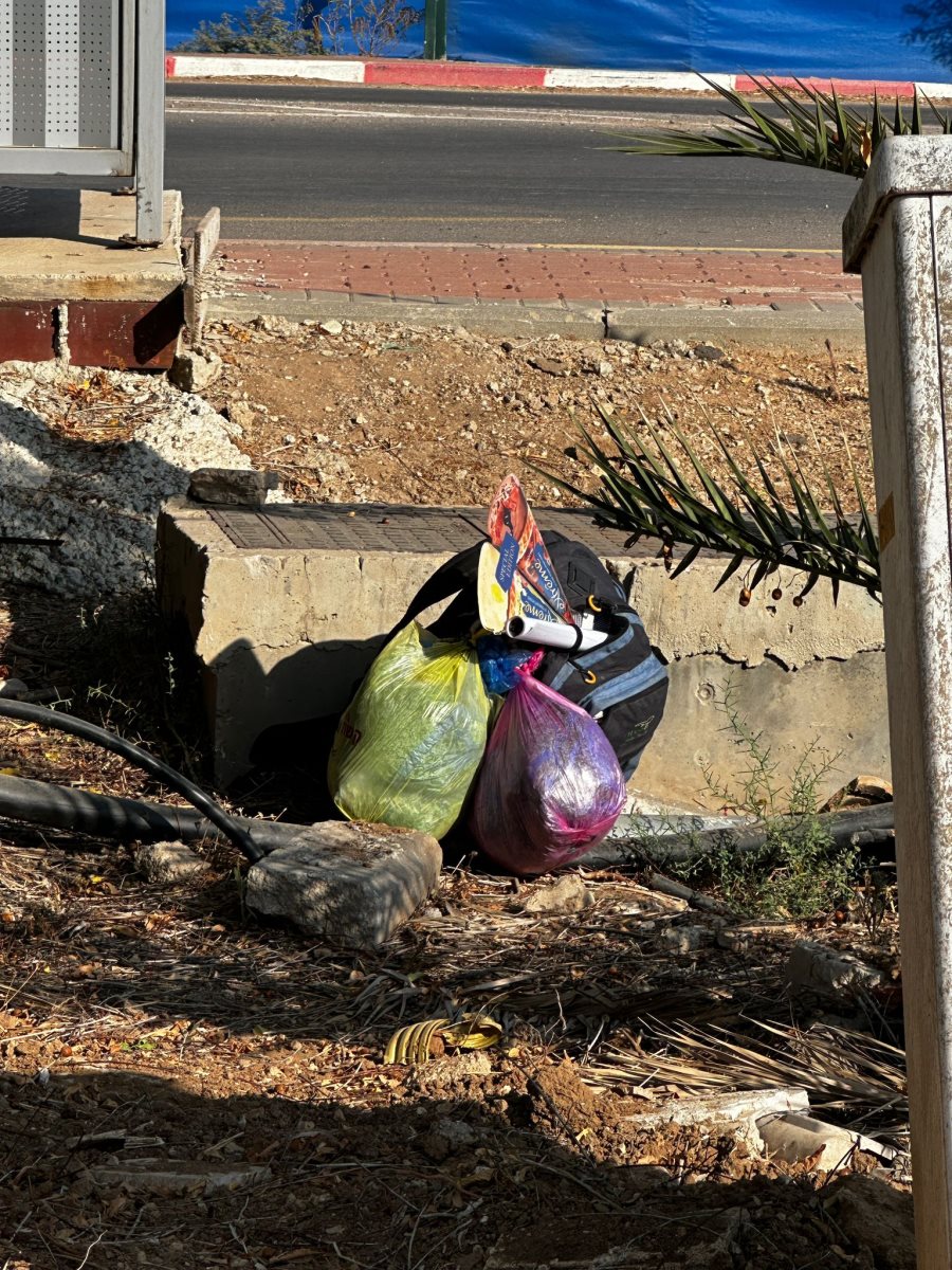 דוברות משטרה 