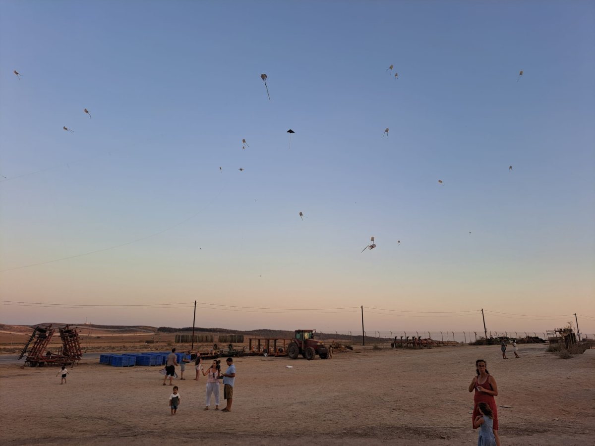 צילום: אלין שכטמן