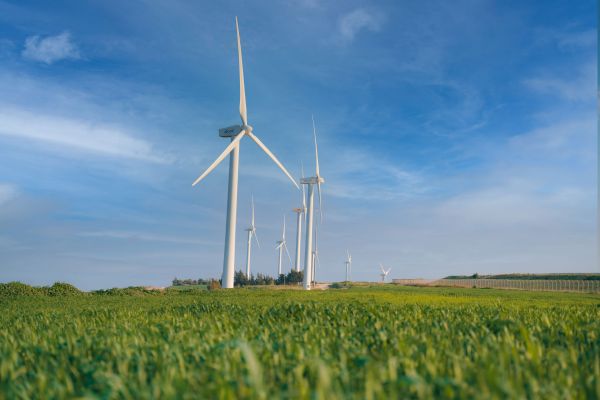 צילום: עידן ארד