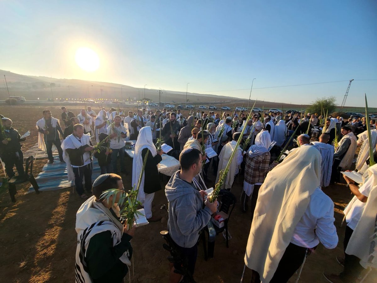 קרדיט: שי אראל