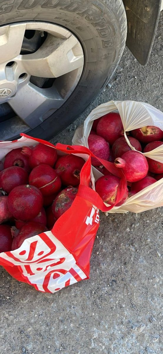 דוברות משטרה