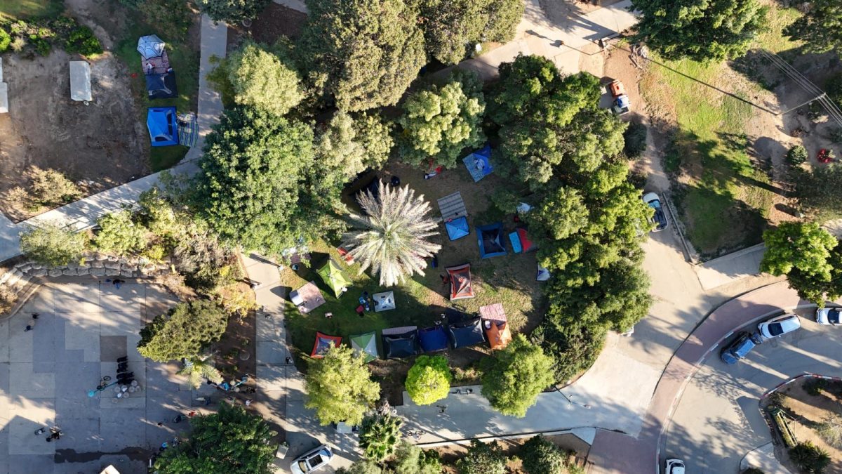 קרדיט: עינת גרוסמן