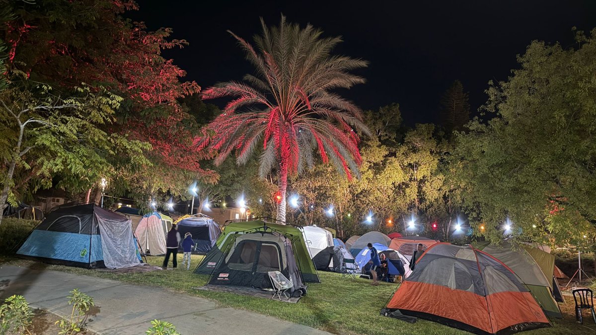 קרדיט: עינת גרוסמן