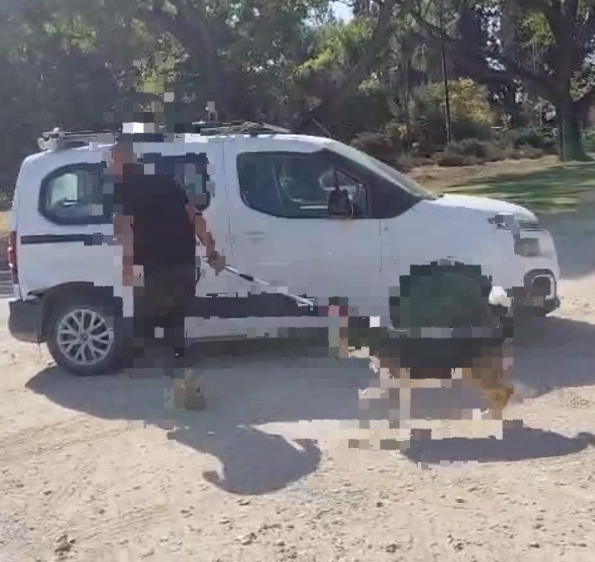 דוברות משטרה