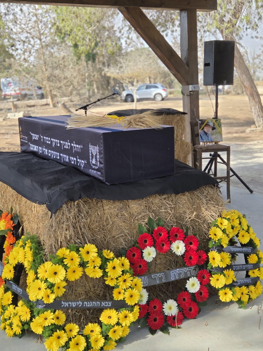 צילום עמיר אלפסה