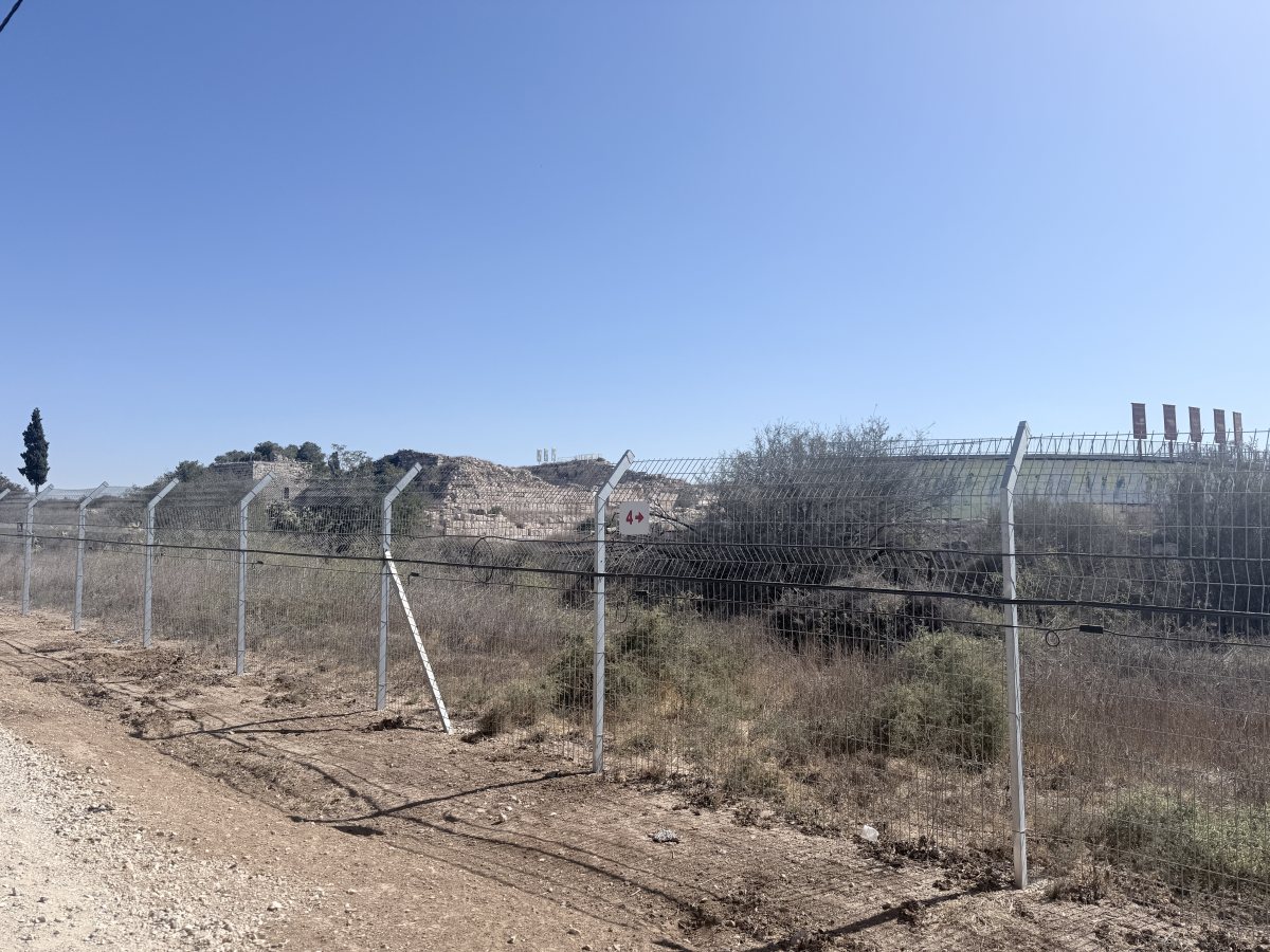 תמונות באדיבות המועצה.