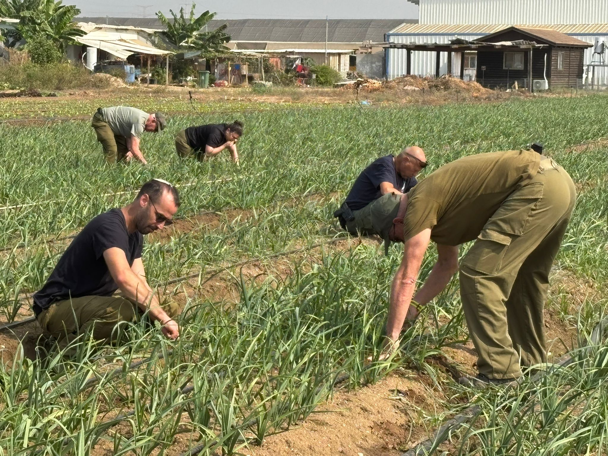 לוחמי מילואים 