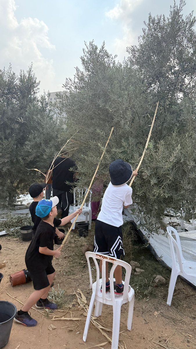 צילום בני וודו 