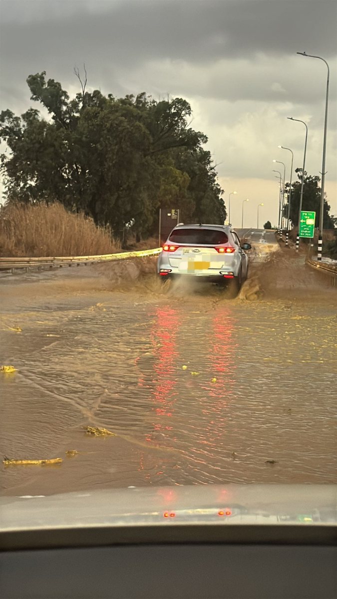 דוברות משטרה