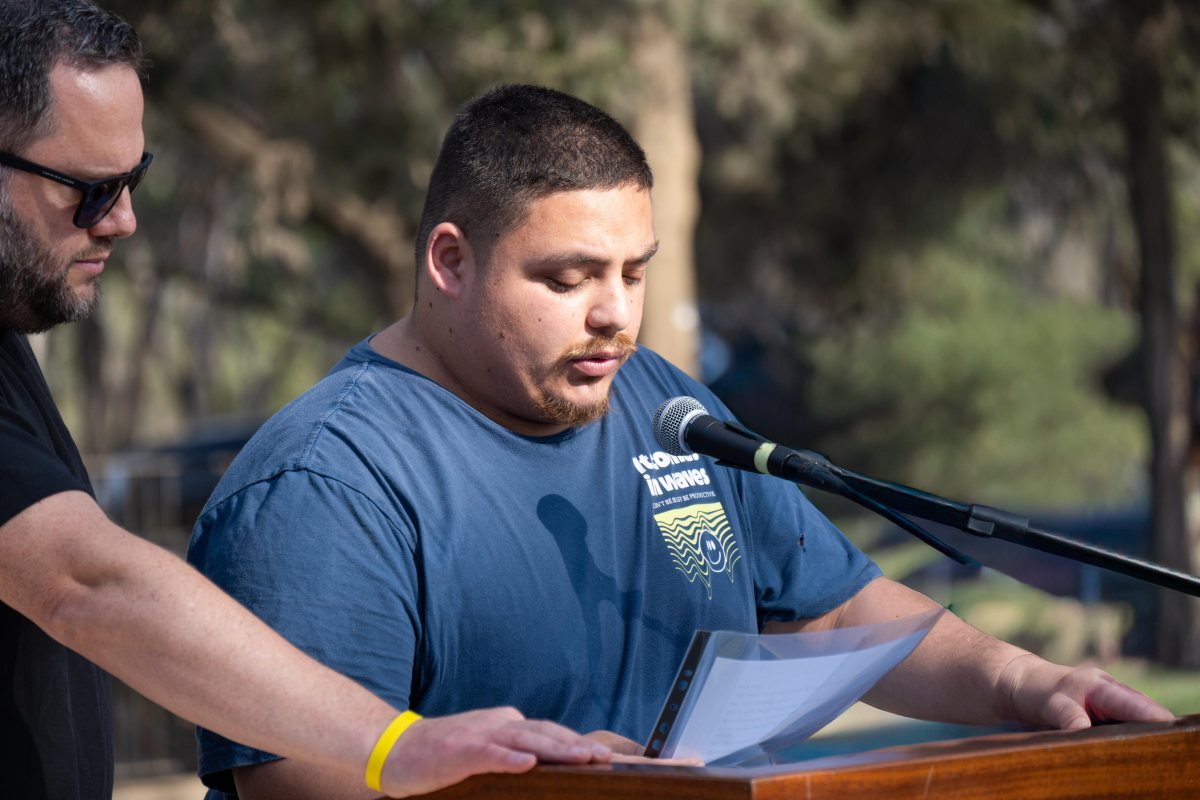 קרדיט אוריאל ספיר