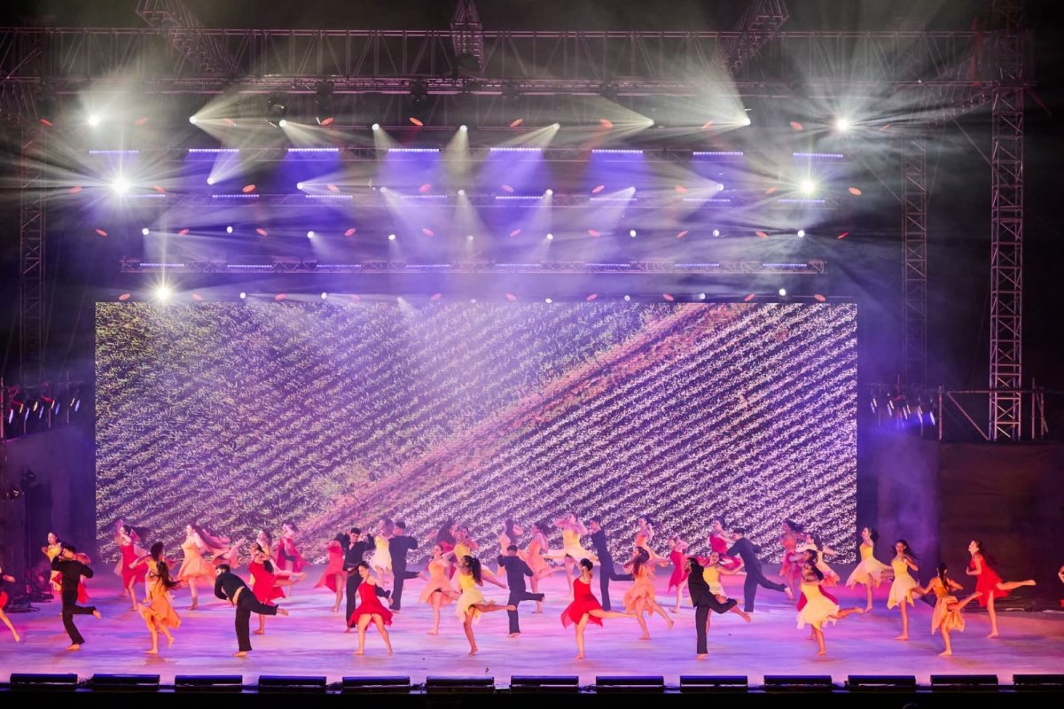 צילום: דרור גיל