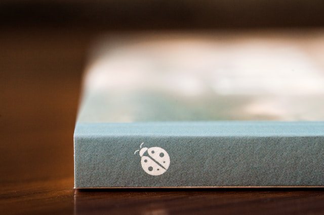 קרדיט-Photo by NMG Network on Unsplash