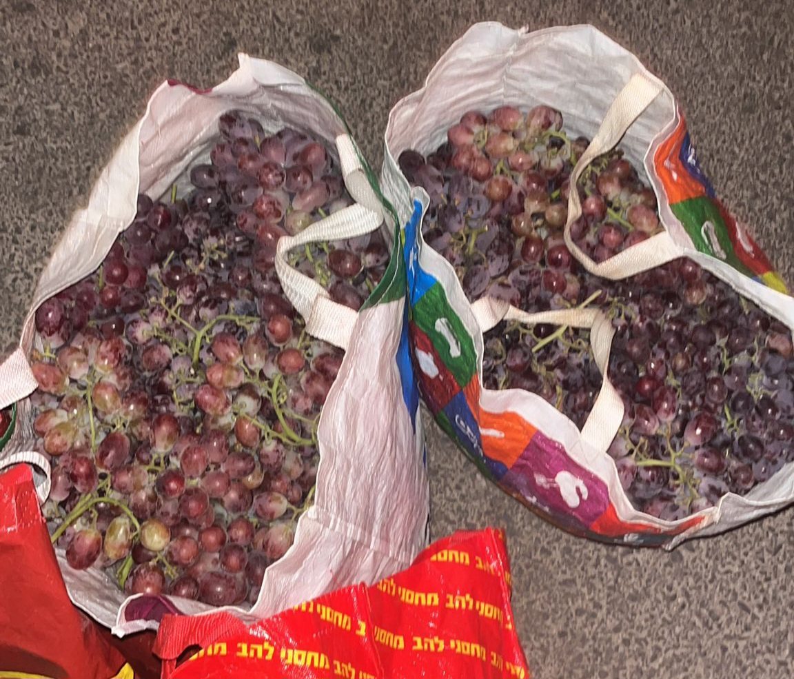 דוברות משטרה