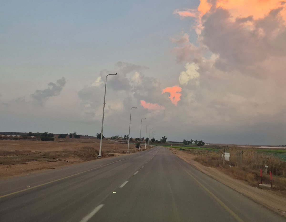 עמודי תאורה שהוצבו בכביש צילום מערכת האתר