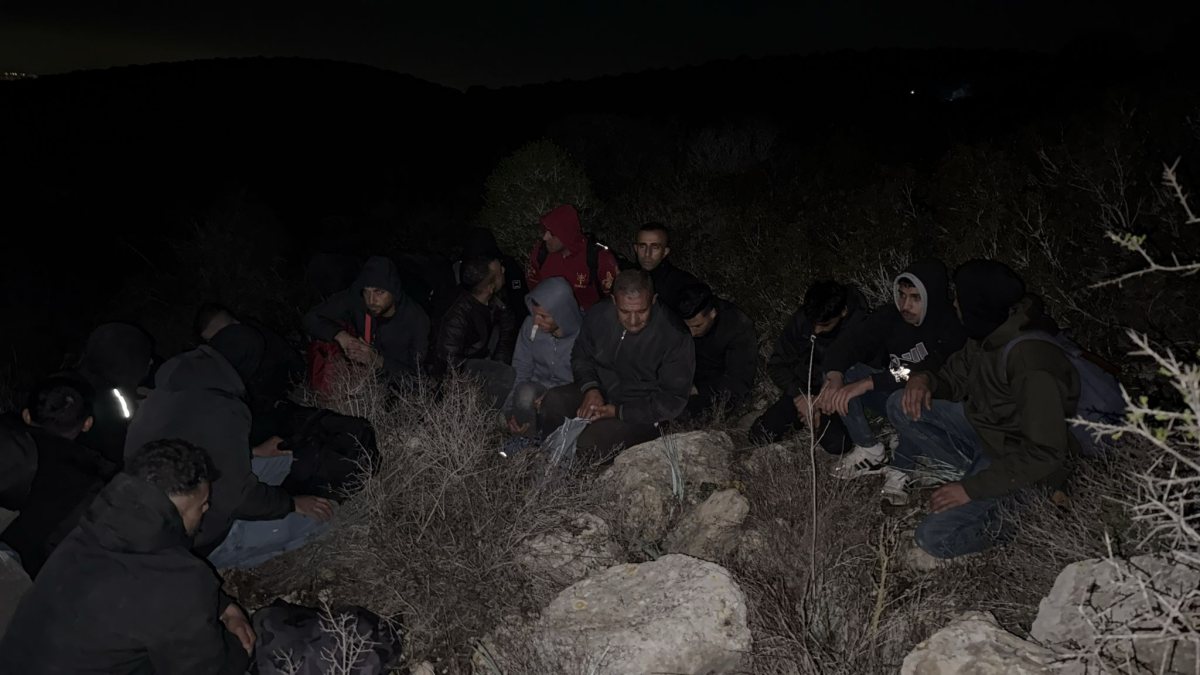 דוברות משטרה