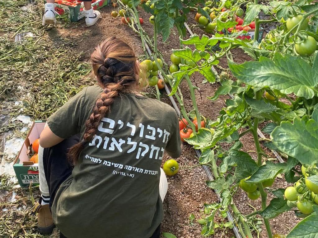 קרדיט: חיבורים בחקלאות.