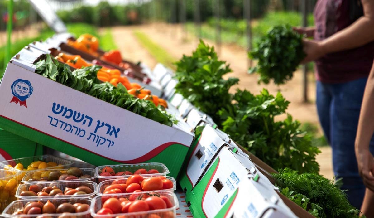 חוות בין השיטין. צילום חוות בין השיטין