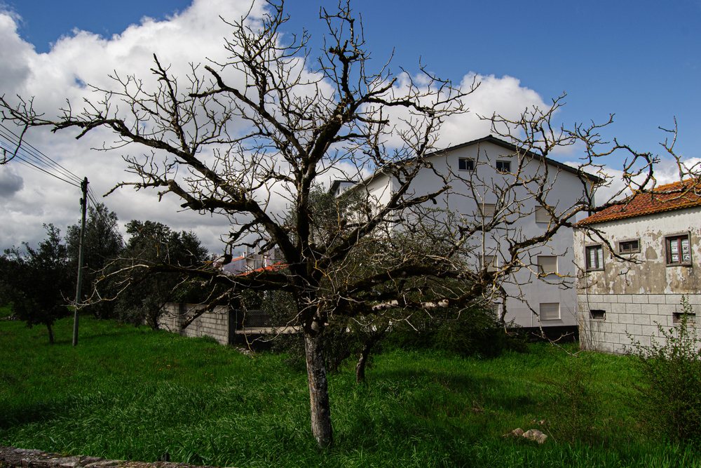 depositphotos בית במושב