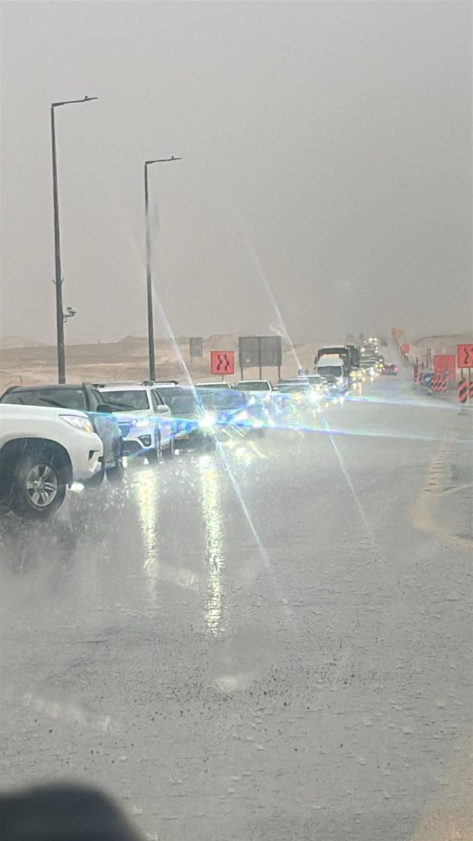 דוברות משטרה