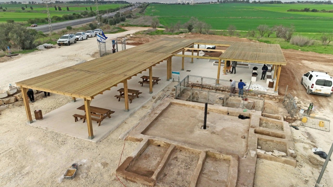 אמיל אלג'ם, רשות העתיקות