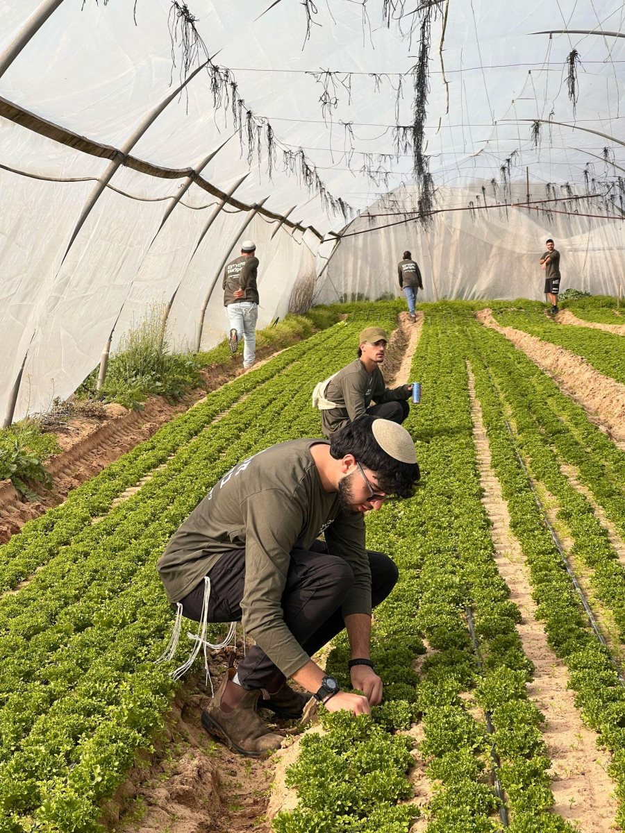 ניצוץ באמונה