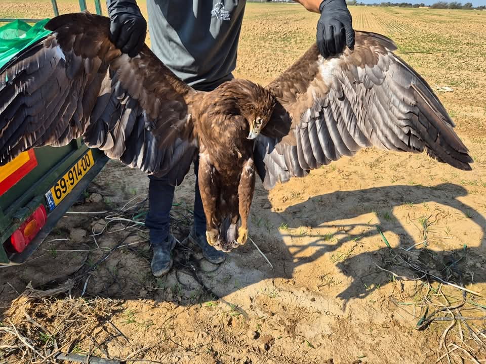 רשות הטבע והגנים