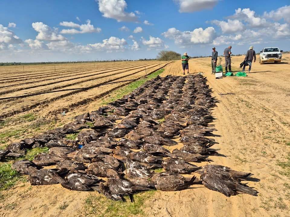רשות הטבע והגנים
