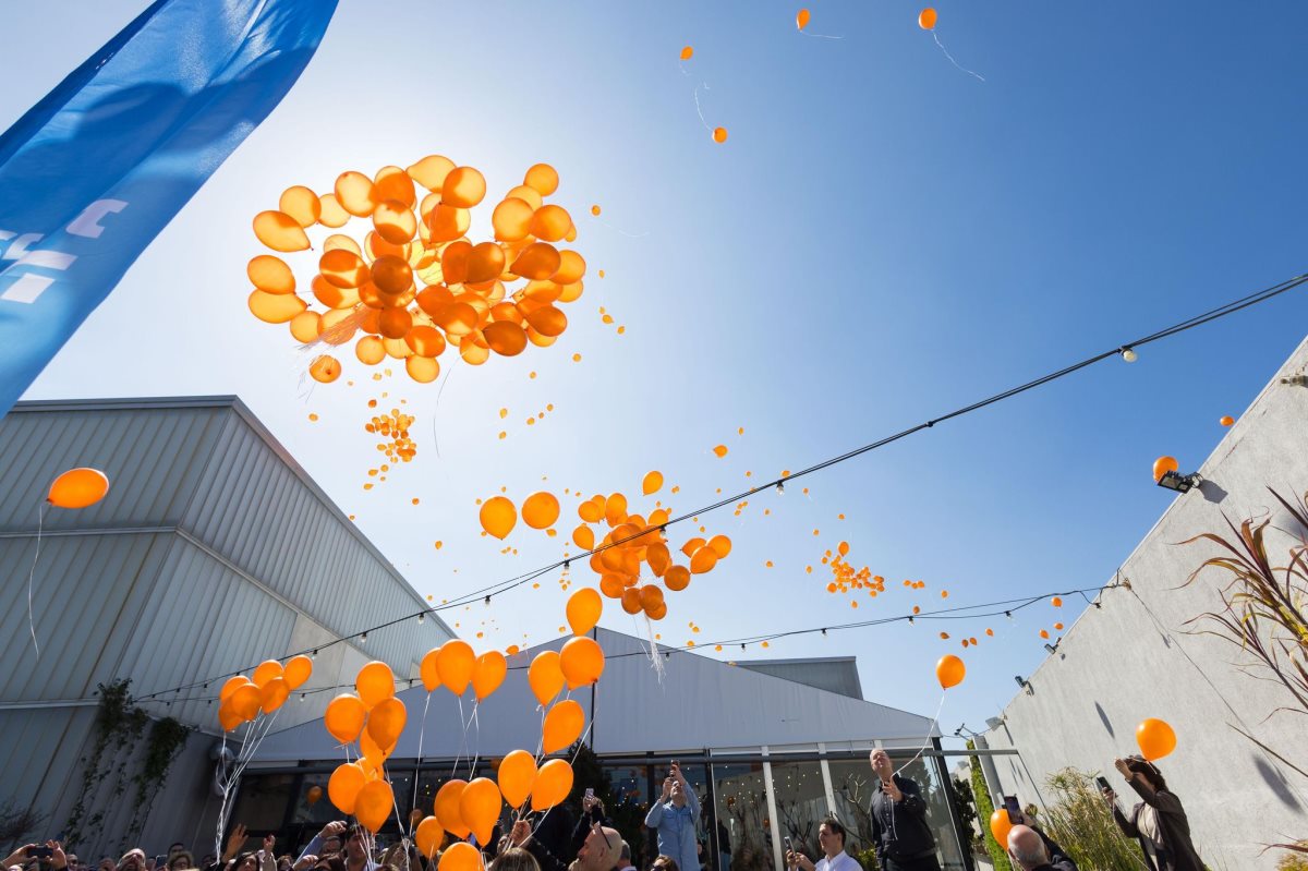 צילום: בית החולים אסותא