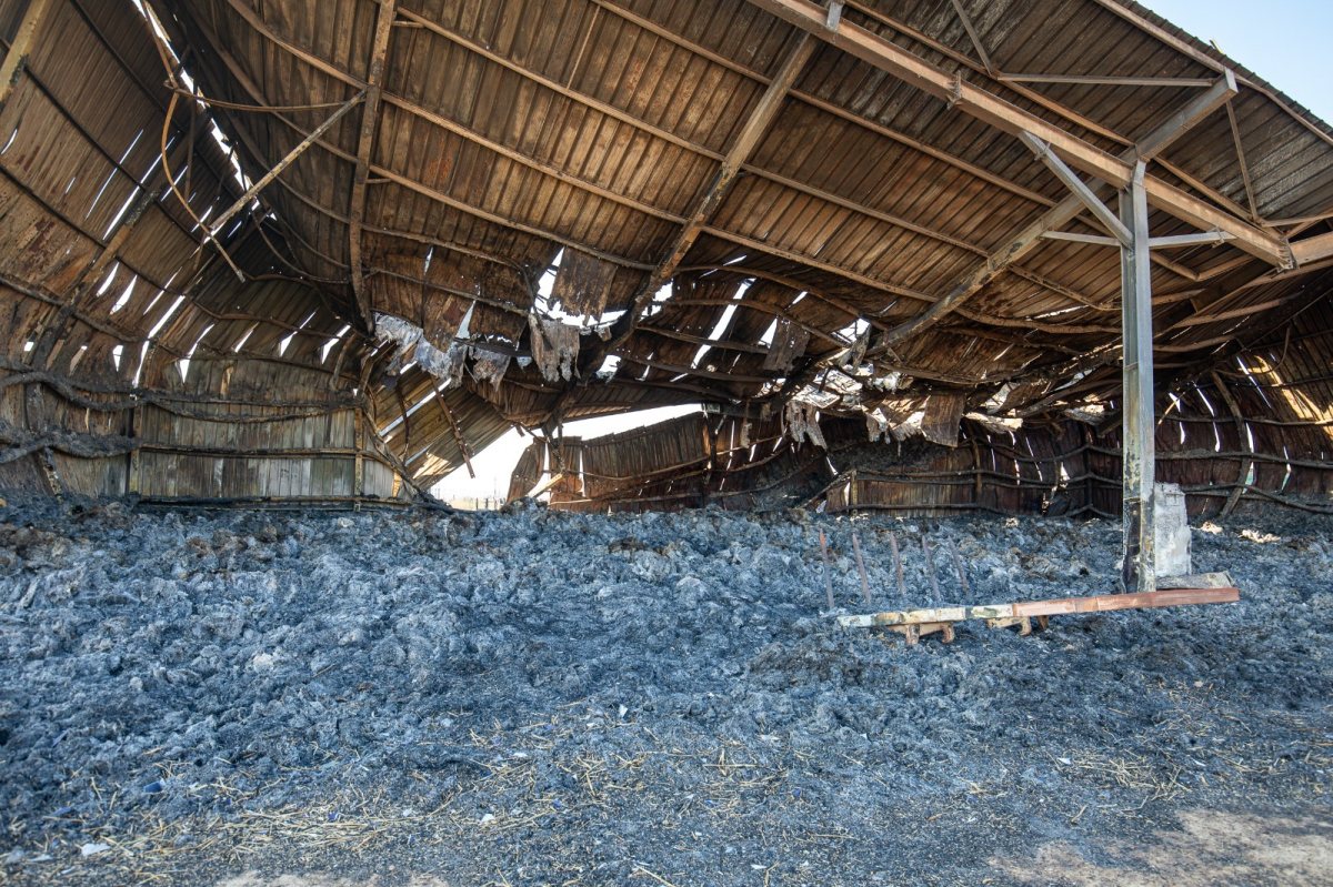 צילום באדיבות קיבוץ עלומים