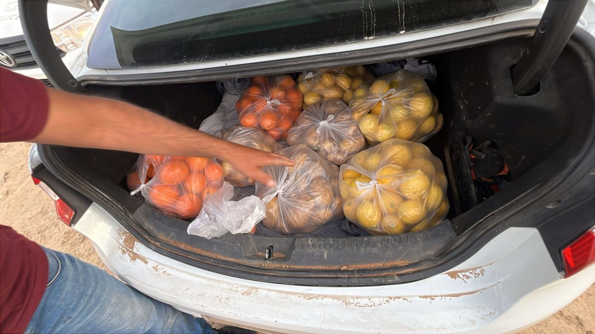 דוברות משטרה